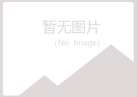 田东县冰枫能源有限公司